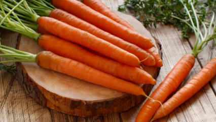 Πώς να καλλιεργήσετε καρότα σε γλάστρες στο σπίτι; Μέθοδοι καλλιέργειας καρότου σε γλάστρες