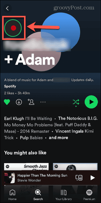 εικονίδιο ιστορίας spotify