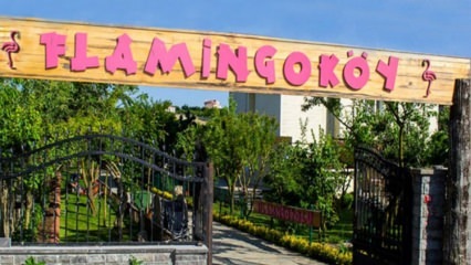 Πού είναι το Flamingo Village; Πως να πάω? Πόση είναι η τιμή του πρωινού;