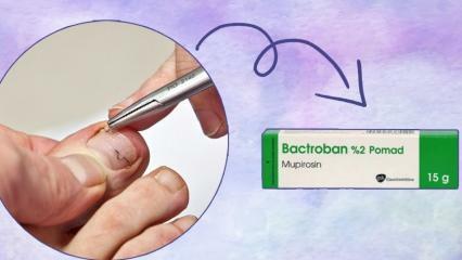 Τι κάνει η κρέμα Bactroban και πώς να τη χρησιμοποιήσετε; Bactroban pomade τιμή 2023