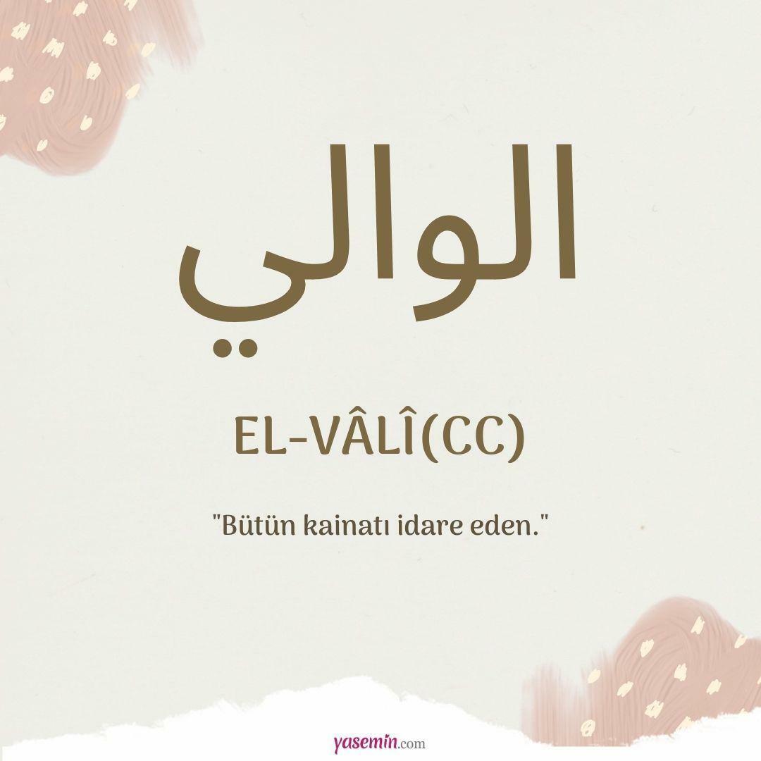 Τι σημαίνει al-Vali (c.c);
