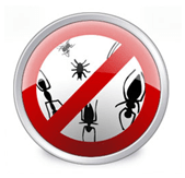 Εγκαταστήστε τον Anti-virus για να σκουπίσετε τα σφάλματα και τον κωδικό του ιού nasy!