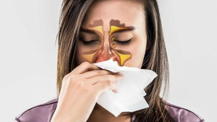 Τι είναι μια αλλεργία; Ποια είναι τα συμπτώματα της αλλεργικής ρινίτιδας; Πόσα είδη αλλεργιών υπάρχουν; 