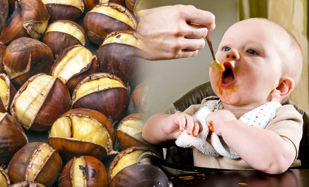 Μπορούν τα μωρά να τρώνε κάστανα; Πώς να φτιάξετε πουτίγκα από κάστανο;