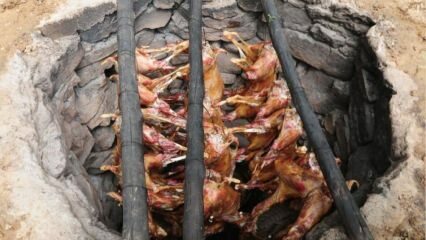 Πώς να μαγειρέψετε κρέας χήνας; Η συνταγή tandoor της χήνας