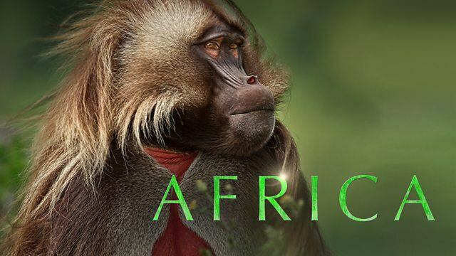 Αφρική / Αφρική (2013)