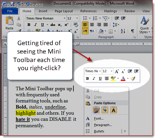 Κατάργηση του Mini-Toolbar στο Word 2007 και το Word 2010