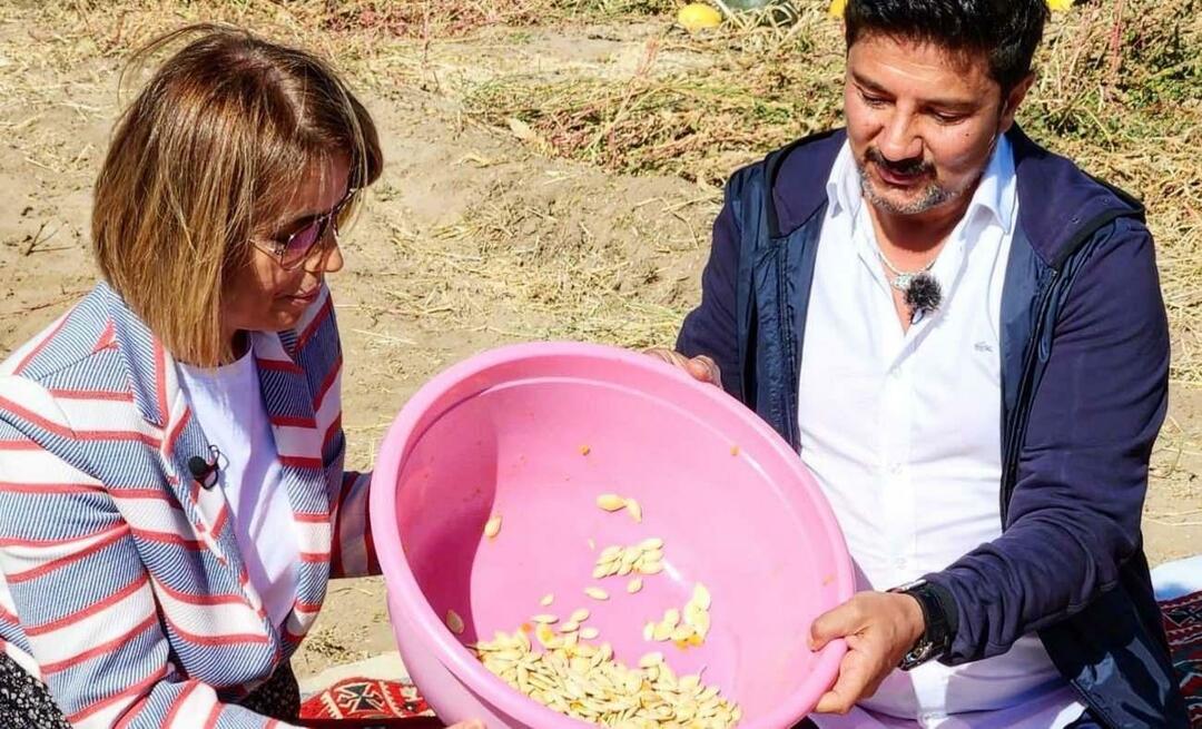 Συγκομίστηκαν σπόροι κολοκύθας για σνακ στο Νεβσεχίρ!