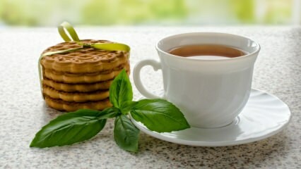 Ποια είναι τα οφέλη του βασιλικού; Πώς να φτιάξετε τσάι βασιλικού;