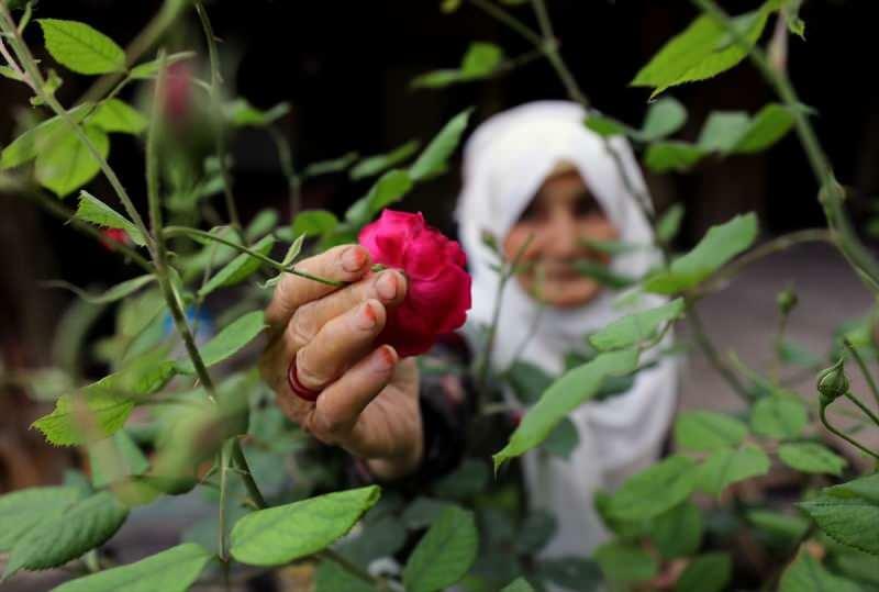 Ayşe ιδρώτα τριαντάφυλλο μαρμελάδα 