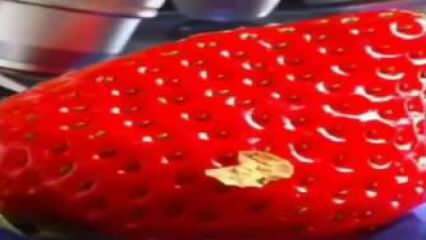 Βίντεο φράουλας που σηματοδότησε τα μέσα κοινωνικής δικτύωσης! Δεν θα βάλεις ξανά τη φράουλα στο στόμα σου ...