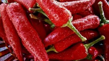 Παράταση της ζωής: Ποια είναι τα οφέλη της καυτερή πιπεριά; Τι συμβαίνει εάν καταναλώνετε τακτικά πιπέρι καγιέν;