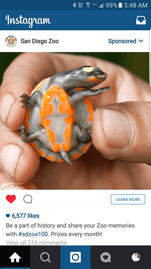 διαφήμιση instagram ζωολογικού κήπου