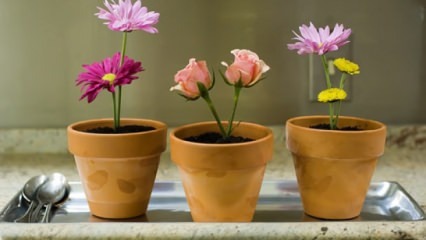 Τα λουλούδια που πρέπει να νοικοκυριούνται στο σπίτι την άνοιξη