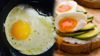 Ποια έλαια είναι ωφέλιμα για την υγεία μας; Εάν καταναλώσετε το αυγό χωρίς ζάχαρη ...