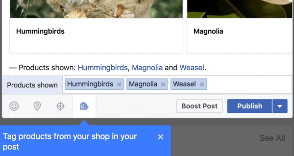 Συμπεριλάβετε συνδέσμους προϊόντων από το κατάστημά σας στο Facebook.