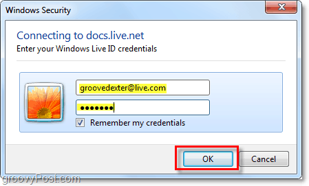 εισάγετε το όνομα χρήστη και τον κωδικό πρόσβασης του λογαριασμού σας στο Windows στο Microsoft Office 2010