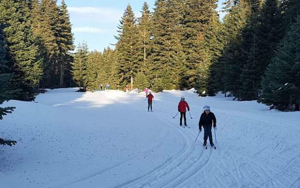 Πώς θα φτάσετε στο χιονοδρομικό κέντρο Yurduntepe; Τοποθεσίες για επίσκεψη στο Kastamonu