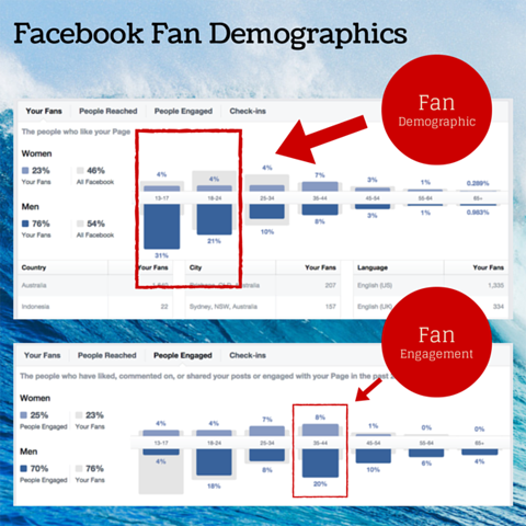 Δημογραφικό γράφημα θαυμαστών του facebook