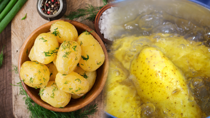 Πώς βράζεται η πατάτα; Οι συμβουλές των βραστών πατατών