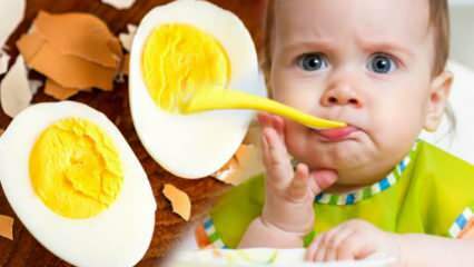 Πώς πρέπει να χορηγούνται κρόκοι αυγών στα μωρά; Πόσους μήνες για να ξεκινήσετε το αυγό; Συνταγή αυγών μωρού