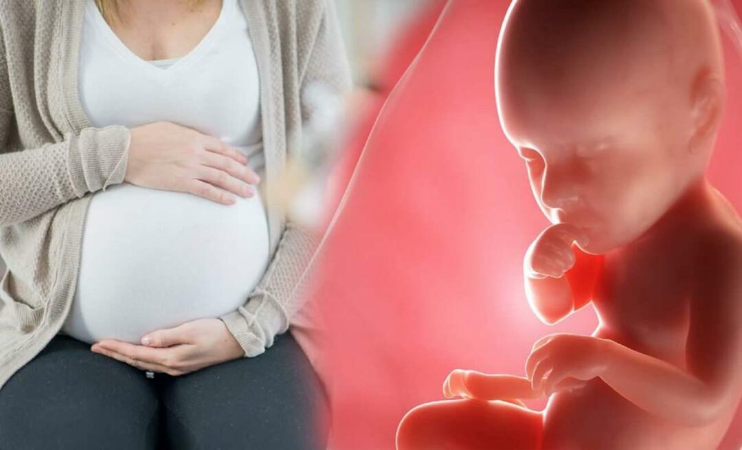 Πώς παίρνουν τα μωρά θρεπτικά συστατικά από τη μητέρα κατά τη διάρκεια της εγκυμοσύνης; Πώς να ταΐσετε το μωρό στη μήτρα από τη μητέρα