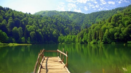 Το Trabzon θα αναζωογονήσει τον τουρισμό με κήπους λεβάντας!