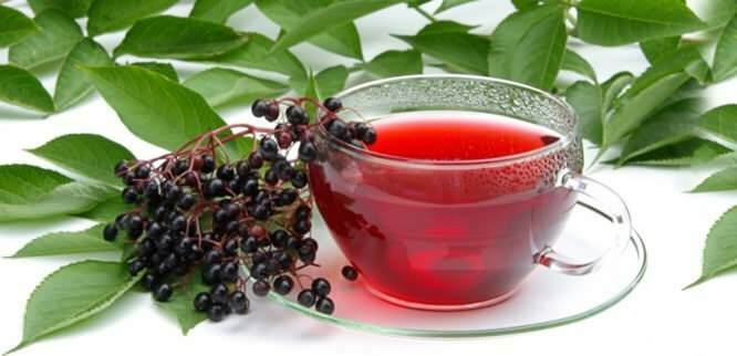 Το τσάι elderberry παρέχει απίστευτα οφέλη για το ανοσοποιητικό σύστημα