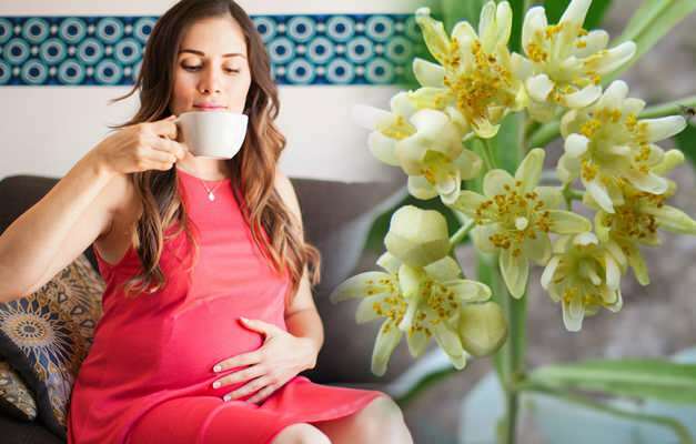 Τσάι βοτάνων πρόταση κατά τη διάρκεια της εγκυμοσύνης από Saraçoğl! Είναι επιβλαβές για τις έγκυες γυναίκες να πίνουν τσάι από βότανα;