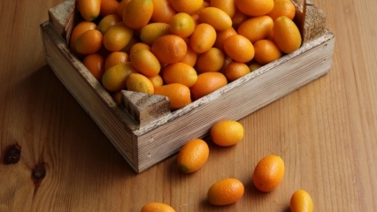 Ποια είναι τα οφέλη του Kumquat (Kumkat); Για ποιες ασθένειες είναι καλό το kumquat; Πώς καταναλώνεται το kumquat;