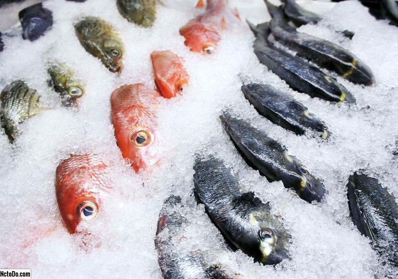 Πώς να διατηρήσετε τα ψάρια στον καταψύκτη; Ποιες είναι οι συμβουλές για τη διατήρηση των ψαριών στον καταψύκτη;