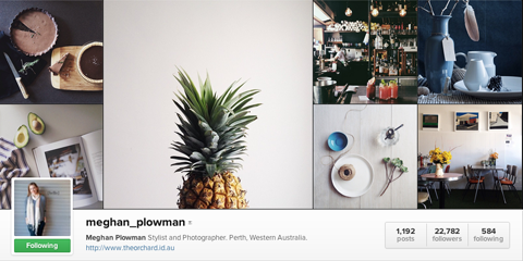 meghan plowman instagram προφίλ