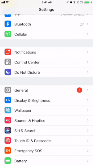 Προσθέστε τη δυνατότητα εγγραφής οθόνης στο Κέντρο ελέγχου της συσκευής σας iOS.