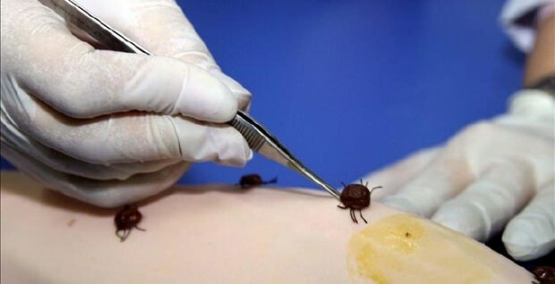 Οι ειδικοί προειδοποίησαν! Προσοχή στον αιμορραγικό πυρετό στο Κριμαϊκό Κονγκό