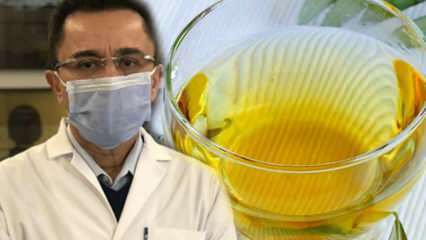 Τσάι θαύματος κατά του ιού: Ποια είναι τα οφέλη του τσαγιού με φύλλα ελιάς; Παραγωγή τσαγιού με φύλλα ελιάς