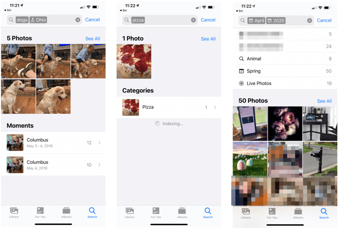 Πώς να αναζητήσετε αντικείμενα σε φωτογραφίες σε iPhone και iPad