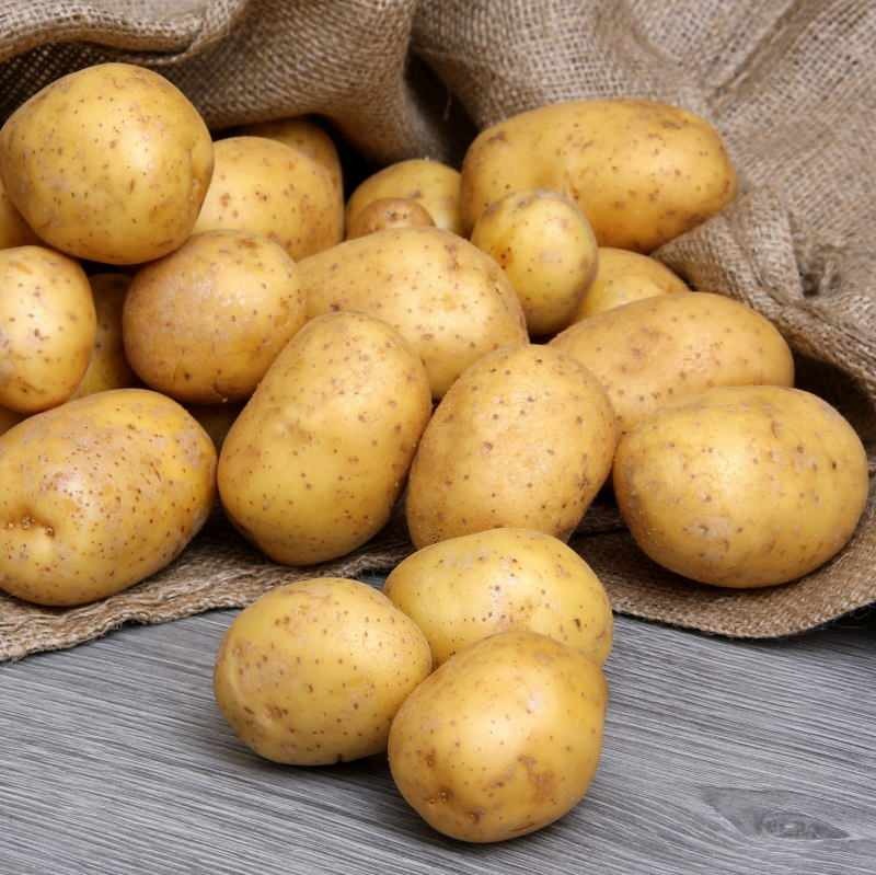 Ποια είναι η διαφορά ανάμεσα στις βρώσιμες πατάτες και τις τηγανιτές πατάτες