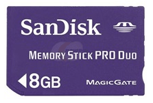 Κάρτα μνήμης Dandisk 8GB
