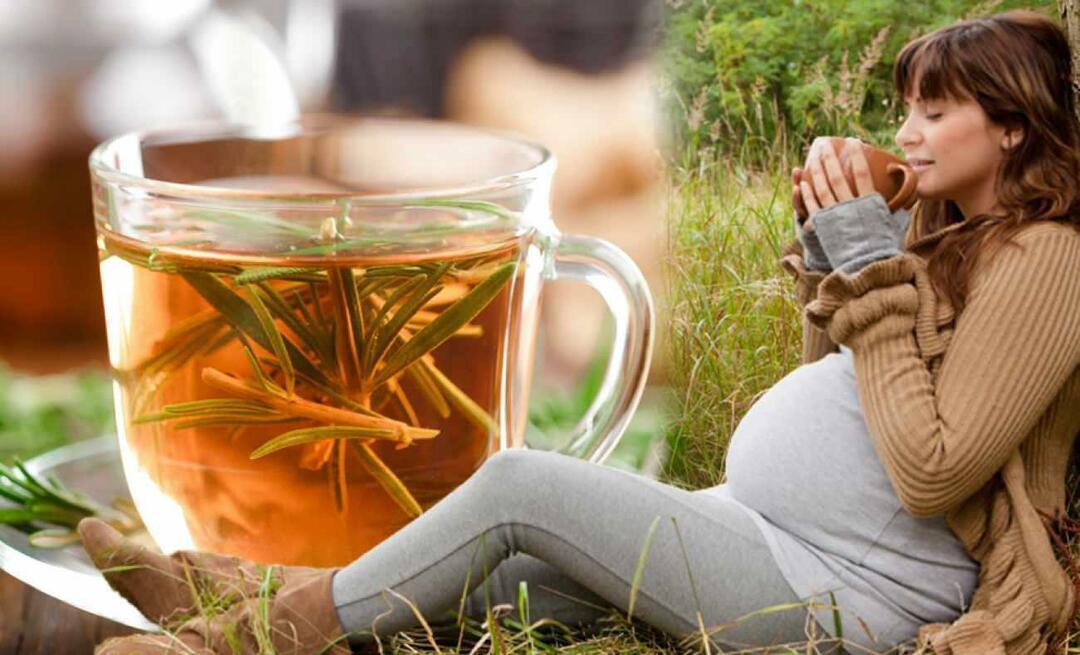 Μπορούν οι έγκυες γυναίκες να πίνουν χειμερινό τσάι; Ποιο τσάι πρέπει να πίνετε κατά τη διάρκεια της εγκυμοσύνης; χειμωνιάτικα τσάγια για εγκύους