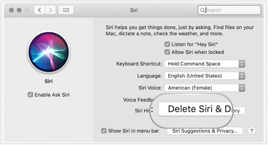 Διαγράψτε την ιστορία του Siri σε Mac