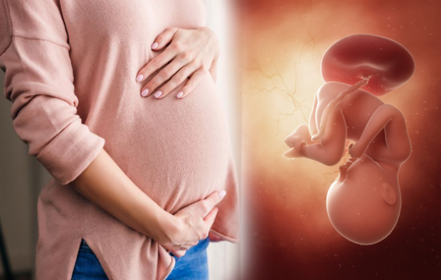 Ποια είναι τα συμπτώματα της εγκυμοσύνης; Συμπτώματα πρώιμης εγκυμοσύνης