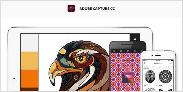 Το Adobe Capture δημιουργεί μια παλέτα από μια εικόνα που τραβάτε με μια κινητή συσκευή. Ο ιστότοπος δείχνει μια εικόνα ενός πουλιού και μιας παλέτας που δημιουργήθηκε από την εικόνα, η οποία περιλαμβάνει ανοιχτό γκρι, κίτρινο, πορτοκαλί και κοκκινωπό καφέ.