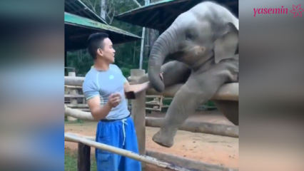 Αυτές οι στιγμές ανάμεσα στον ελέφαντα και τον φύλακα του!