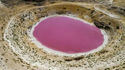 Το χρώμα της λίμνης Meyil Obruk έγινε ροζ!