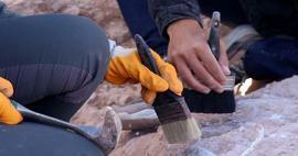 Ανακάλυψη που θα αλλάξει τον ρου της ιστορίας: Οι αρχαιολόγοι βρήκαν την αρχαιότερη ξύλινη κατασκευή στον κόσμο