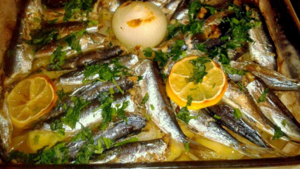 Πώς να μαγειρέψετε ψάρια σαρδέλας; Ευκολότερη συνταγή σαρδέλας