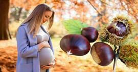 Μπορούν οι έγκυες γυναίκες να τρώνε κάστανα; Οφέλη από την κατανάλωση κάστανων κατά τη διάρκεια της εγκυμοσύνης για το μωρό και τη μητέρα