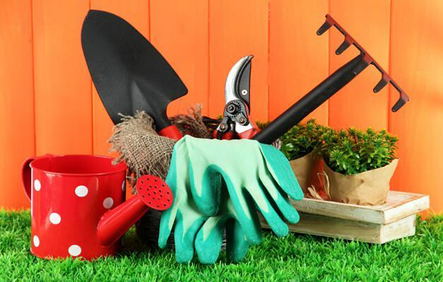 πώς να καθαρίσετε τον κήπο