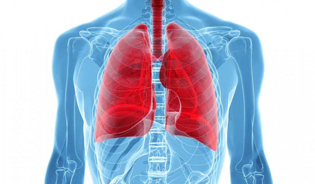 Τι είναι το σύνδρομο λευκού πνεύμονα και ποια είναι τα συμπτώματά του; Ποια είναι η θεραπεία για το σύνδρομο λευκού πνεύμονα;