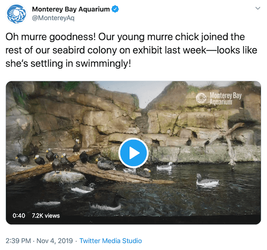 tweet από το Monterey Bay Aquarium ως παράδειγμα της φωνής των μέσων κοινωνικής δικτύωσης